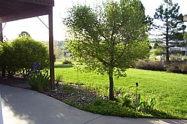 Immaculate 5 Bedroom Home on 1.2 Acre near Cherry Creek Schools in Centennial, CO (Photo 4 of 12)