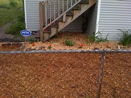 Newly Rehabbed 6 Bedroom Auburn Gresham Home with Wood Flooring in Chicago, IL (Photo 2 of 3)
