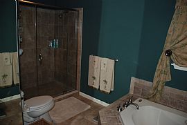 Roomy 5 Bedroom Home with  All The Upgrades and 5 Car Garage in Riegelsville, PA (Photo 4 of 11)