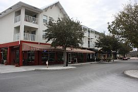 Newer, Spacious 2 Bedroom Apartment in Longleaf in Trinity, FL