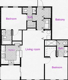 Newer, Spacious 2 Bedroom Apartment in Longleaf in Trinity, FL (Photo 2 of 2)