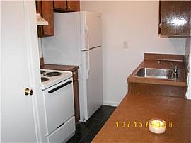 Extremely Cute 1 Bedroom  Apartment - Best Deal on Capitol Hill in Washington, DC (Photo 3 of 4)