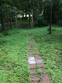 Beautiful 4 Bedroom Family Home in Quiet Neighborhood in Calera, AL (Photo 5 of 5)