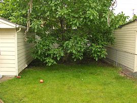 Cozy 2 Bedroom Home in Cleveland's West Side in Cleveland, OH (Photo 4 of 8)