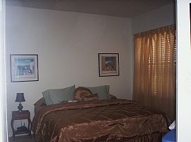 Superb 4 Bedroom Home with Open floor Plan - Near All in Estero, FL (Photo 5 of 9)