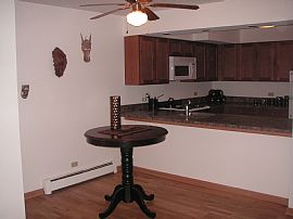 Large 1 Bedroom Apartment with Lake View  in Hoffman Estates, IL (Photo 5 of 8)