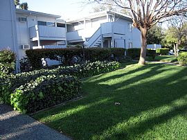 Newly Renovated  2bed/1 Bath Close to Uc Davis in Davis, CA
