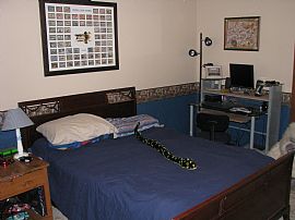 Spacious 3 Bedroom Home with Covered Patio in New Hope in Columbus, MS (Photo 9 of 12)