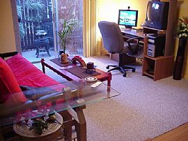 Cozy 1 Bedroom Condo - Completely Remodeled  in Clearwater, FL