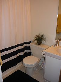 Nice, Roomy, Quiet 2 Bedroom Condo - Recently Renovated in Athens, GA (Photo 6 of 6)