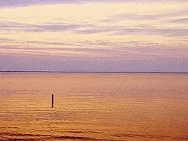 Great 2 Bedroom Home - Welcome Home to Relax in The Water in Merry Hill, NC