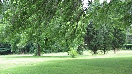 Cute 3 Bedroom Brick Home with Basement in Hiram, GA (Photo 3 of 3)