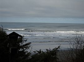 Large 4 BR, 3.5 BA Home with Ocean View  in Moclips, WA (Photo 4 of 11)
