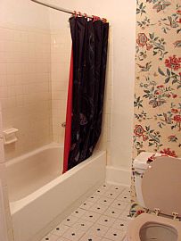 Newly Renovated 3 Bedroom Home in Northwest Detroit in Detroit, MI (Photo 7 of 8)