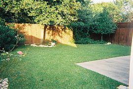 Beautiful Two Story House For Rent in Round Rock, TX (Photo 3 of 10)