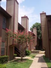 Remodeled 1 Bedroom Apartment with Free Washer and Dryer! in Dallas, TX (Photo 3 of 12)