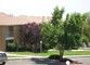 Ideal 1 Bedroom Apartment in The Palazzo at Sandia Heights in Albuquerque, NM (Photo 3 of 10)