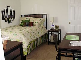 South View 4 Bedroom Apartment Near Jmu in Harrisonburg, VA