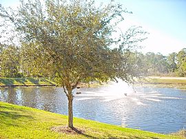 Beautiful 2 Bedroom Townhouse in Westchase in Westchase, FL (Photo 1 of 6)