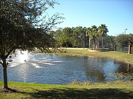 Beautiful 2 Bedroom Townhouse in Westchase in Westchase, FL (Photo 6 of 6)
