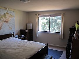 Great 1 Bedroom Apartment with Balcony - Pets Welcome in Rocky Hill, CT (Photo 4 of 8)