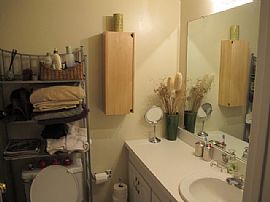 Great 1 Bedroom Apartment with Balcony - Pets Welcome in Rocky Hill, CT (Photo 5 of 8)