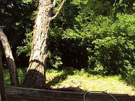 Nice 2 Bedroom Home - South Austin Living! Avail. Sept. 1st  in Austin, TX (Photo 2 of 3)