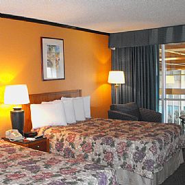 Beautiful, Spacious Studio with Guest Laundry Facilities in Irving, TX (Photo 1 of 10)