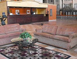 Beautiful, Spacious Studio with Guest Laundry Facilities in Irving, TX (Photo 4 of 10)