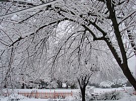 Room Mate Wanted to Share a 3 Bedroom Home with Garage in Grass Valley, CA (Photo 1 of 2)