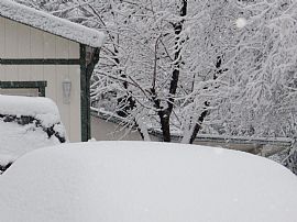 Room Mate Wanted to Share a 3 Bedroom Home with Garage in Grass Valley, CA