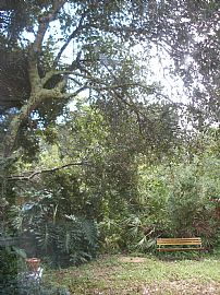 Beautiful 2 Bedroom Townhouse Near Ocean in Saint Augustine, FL (Photo 7 of 9)