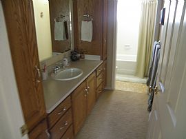 Beautiful 4 Bedroom Home with Hardwood Floors in Provo, UT (Photo 9 of 12)