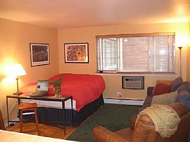 Remodeled, Spacious Studio in Prime Lincoln Park Location in Chicago, IL (Photo 3 of 4)