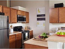 Splendid 1 Bedroom Apartment At a Great Price!  in Lowell, MA (Photo 3 of 4)