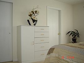 Cozy ,New and Furnished House in Woodstock, GA (Photo 4 of 6)