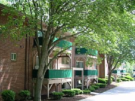 Cozy 2 Bedroom Apartment with Balcony - Available in August in Baltimore, MD