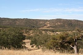 Nice and Quiet 3 Bedroom Home on Horse Property  in Copperopolis, CA (Photo 2 of 2)