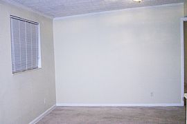 3/2 + Huge Bonus Room, Fenced Yard, Available Asap 1500 Sq Ft in Jacksonville, FL (Photo 4 of 12)
