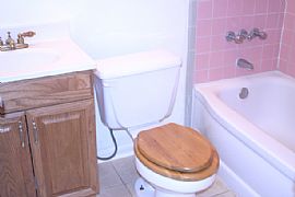 3/2 + Huge Bonus Room, Fenced Yard, Available Asap 1500 Sq Ft in Jacksonville, FL (Photo 9 of 12)