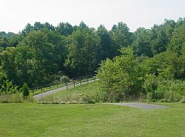 Excellent 3 Bedroom Home in Quiet Community in Damascus, MD (Photo 3 of 5)