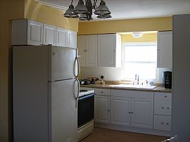 Newly Remodeled 3 Bedroom with Tons of Amenities in Oldsmar, FL (Photo 6 of 6)