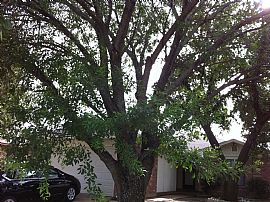 $995/3 Bedrooms + 2baths+2cars Garage_great Deals!!!_ready to  in Arlington, TX (Photo 2 of 2)