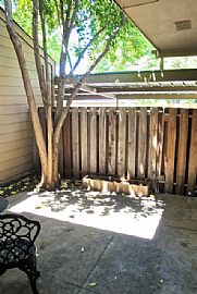  Superb Townhome in South Austin Owner Finance Now!   in Austin, TX (Photo 10 of 10)