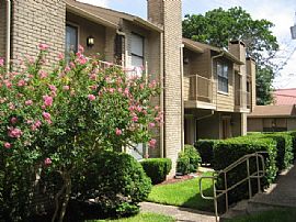  Superb Townhome in South Austin Owner Finance Now!   in Austin, TX (Photo 2 of 10)