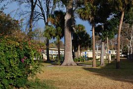 Adorable 1 Bedroom Apartment at Sandy Park Apartments in Daytona Beach, FL (Photo 2 of 3)