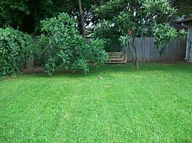 Stylish 3 Bedroom Home - Monthly Payment Just Reduced!  in Austin, TX (Photo 8 of 9)