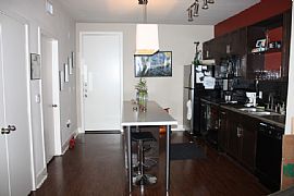Need to Lease Asap - Brand New Apartment  in Austin, TX