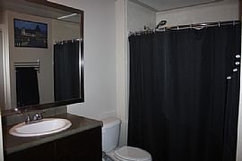 Need to Lease Asap - Brand New Apartment  in Austin, TX (Photo 4 of 4)