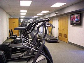 Modern 1 Bedroom Apartment in Severance Circle in Cleveland Heights, OH (Photo 3 of 4)